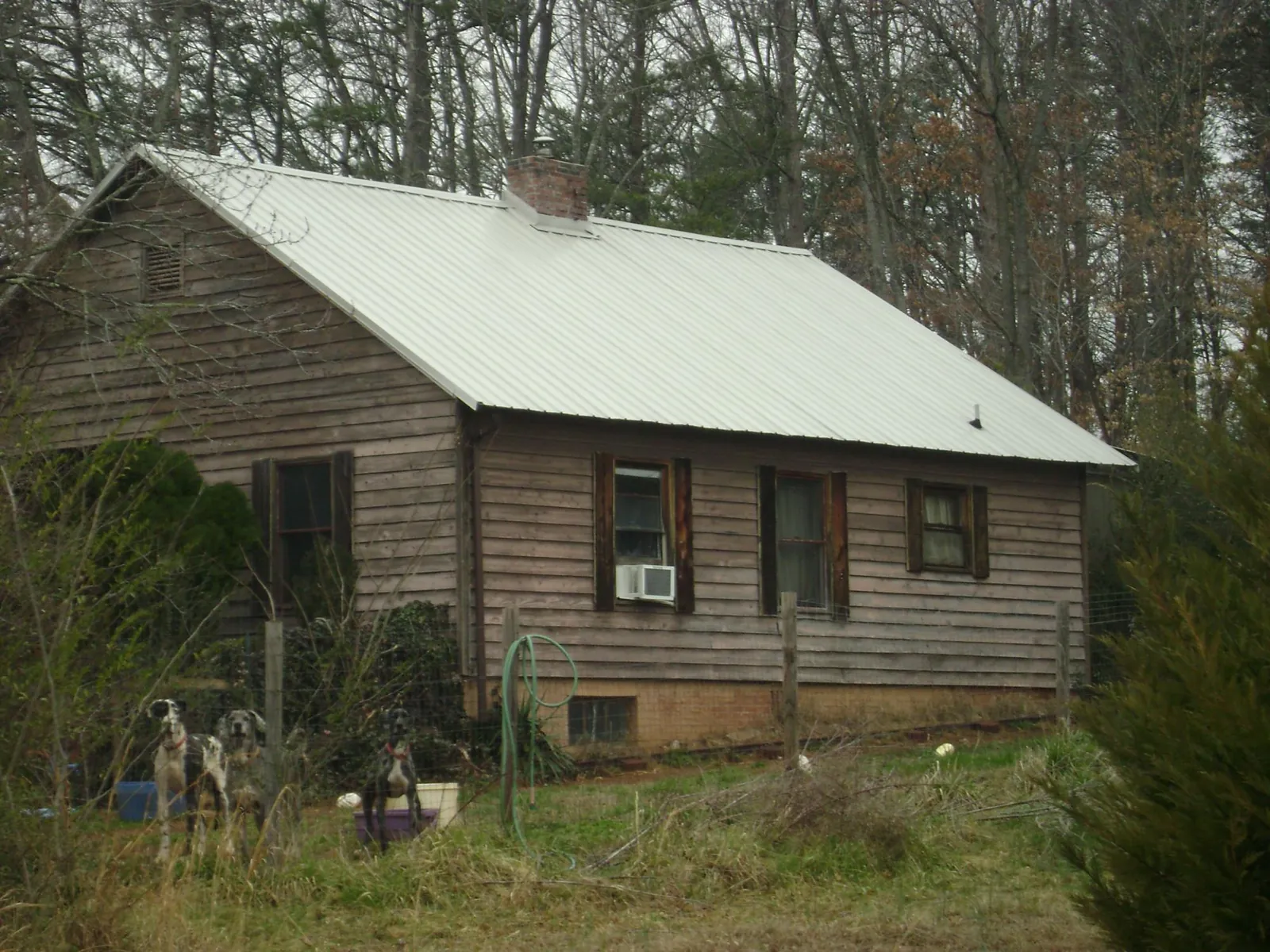 White metal roof on an old wood sided farmhouse, from a Asphalt Shingle Roof Repair job in Grasston